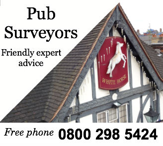 pub surveyors